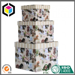 Colorful Print Rigid Cardboard Paper Gift Boxes Set
