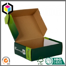 Glossy Color Offset Printing E Flute Corrugated Mailer Box